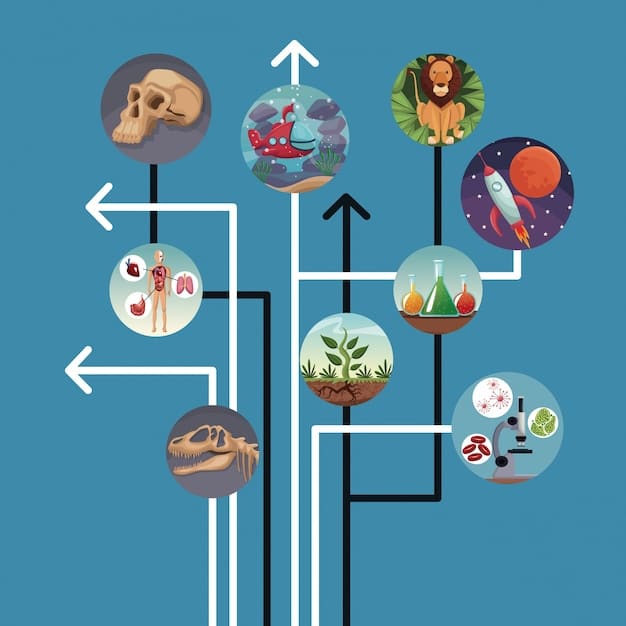 A detailed infographic illustrating various economic sectors and arrows showing the flow of jobs and skills between them influenced by AI, with some bubbles representing growth areas and others showing transformation, indicative of the report's policy recommendations for economic adaptation.